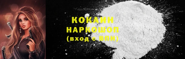 гидропоника Бородино