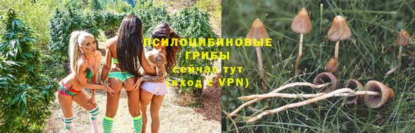 гидропоника Бородино