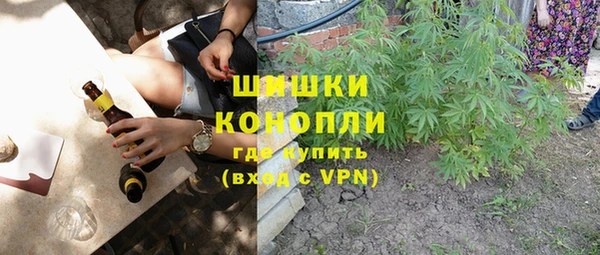 гидропоника Бородино