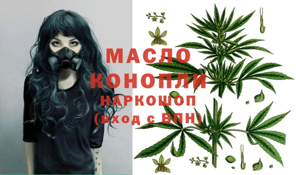 гидропоника Бородино