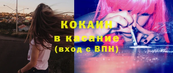 гидропоника Бородино