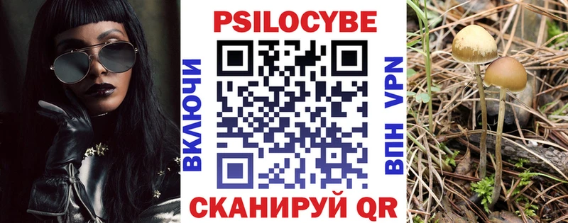 Галлюциногенные грибы GOLDEN TEACHER  darknet формула  Омск 